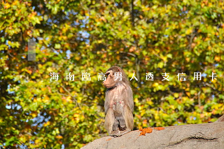 海南臨高男人透支信用卡