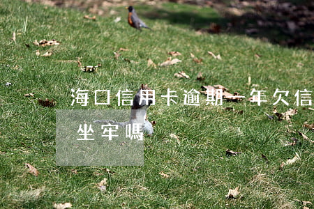 ?？谛庞每ㄓ馄谝荒?欠信用卡逾期一年多會坐牢嗎)
