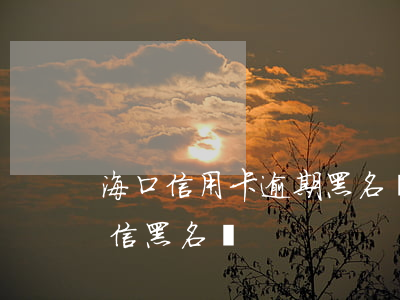 海口信用卡逾期黑名單(信用卡逾期多久上失信黑名單)