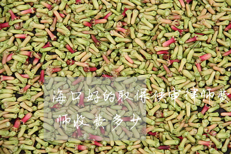 海口好的取保候审律师费怎么算(取保候审律师收费多少)