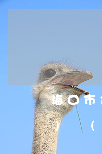 海口市信用卡起訴律師費收費標(biāo)準(zhǔn)-打信用卡官司請律師要花多少錢
