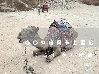 海口欠信用卡上黑名單(欠信用卡黑名單會凍結(jié)所有銀行卡嗎)