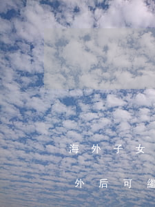 海外子女繼承房產(chǎn)(子女移民國外后可繼承國內(nèi)父母財產(chǎn)嗎)