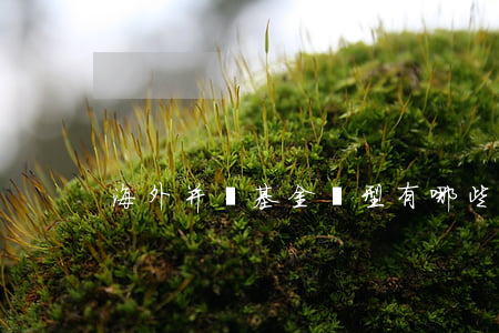 海外并購基金類型有哪些