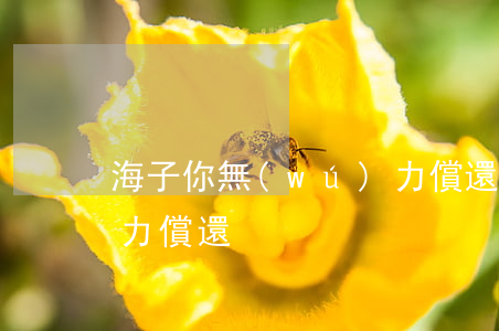 海子你無(wú)力償還（海子你無(wú)力償還）