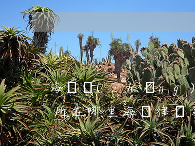 海寧長(zhǎng)安律師事務(wù)所在哪里(海寧律師事務(wù)所咨詢電話)