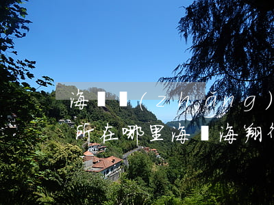 海寧長(zhǎng)安律師事務(wù)所在哪里(海寧海翔律師事務(wù)所)