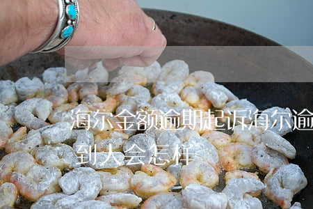 海尔金额逾期起诉 海尔逾期要起诉 如果找不到人会怎样
