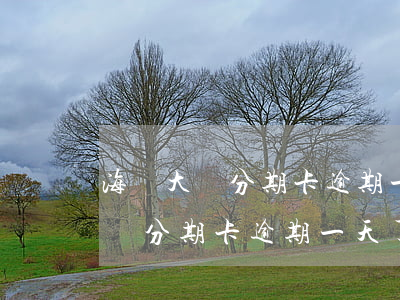 海峽大額分期卡逾期一天了怎么辦-海峽大額分期卡逾期一天了怎么辦啊