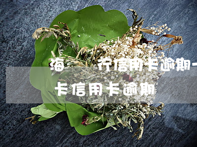 海峽銀行信用卡逾期一個(gè)月了(銀行卡信用卡逾期)