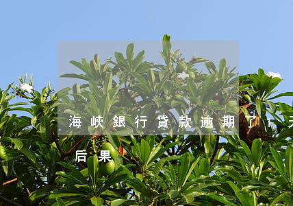 海峽銀行貸款逾期了1天(銀行貸款逾期一天后果)