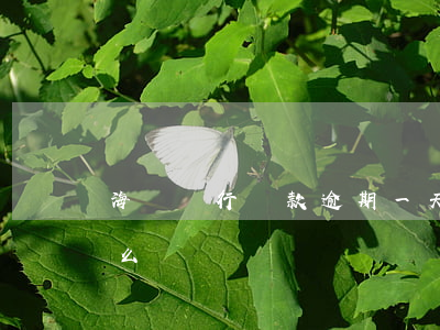 海峽銀行還款逾期一天(銀行還款逾期三天怎么辦)