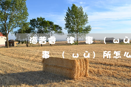 海普睿誠律師事務(wù)所怎么樣(海博律師事務(wù)所怎么樣)