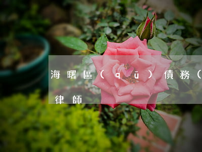 海曙區(qū)債務(wù)律師(海曙欠款律師)