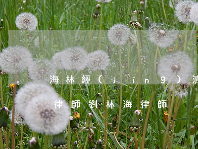 海林經(jīng)濟(jì)合同糾紛案律師(劉林海律師)