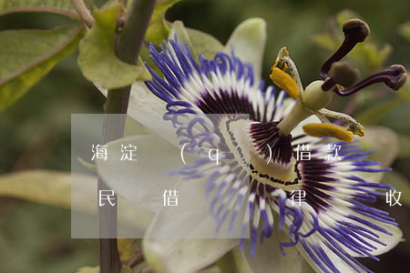 海淀區(qū)借款糾紛律師一般怎么收費(民間借貸糾紛律師費收費標(biāo)準(zhǔn))