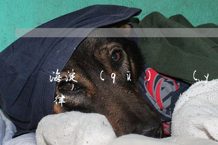 海淀區(qū)專業(yè)債務(wù)律師