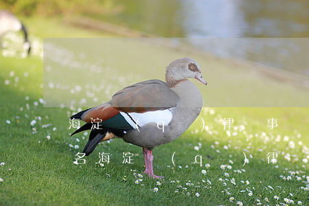 海淀區(qū)律師事務(wù)所律師排名(海淀區(qū)律師事務(wù)所哪家好)