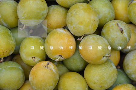 海淀離婚律師(海淀離婚律師網(wǎng))