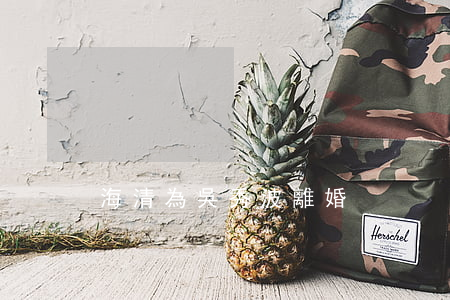 海清為吳秀波離婚