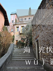 海潤光伏債務(wù)逾期(海潤光伏債務(wù)逾期了)