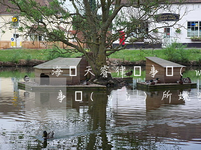 海潤天睿律師事務(wù)所(海潤天睿律師事務(wù)所姚明律師)