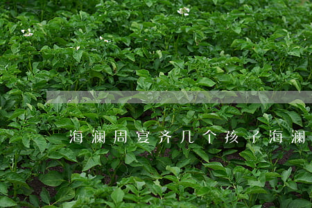 海澜周宴齐几个孩子(海澜周宴齐原名)