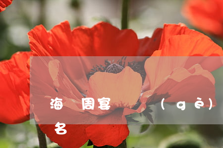 海瀾周宴齊幾個(gè)孩子(海瀾周宴齊原名)