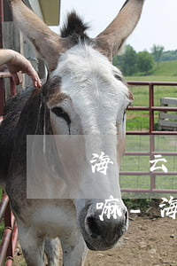海爾云貸還款只扣代扣卡的錢(qián)嘛-海爾云貸還款只扣代扣卡的錢(qián)嘛怎么辦