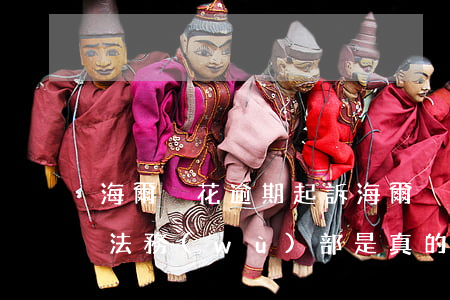 海爾夠花逾期起訴(海爾夠花逾期了說要移交法務(wù)部是真的嗎)