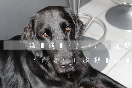 海爾消費(fèi)逾期會起訴嗎(海爾消費(fèi)逾期會起訴嗎)