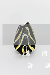 海爾消費(fèi)金融夠花逾期寄律師函 海爾消費(fèi)金融起訴,審理期限寫(xiě)的兩個(gè)月