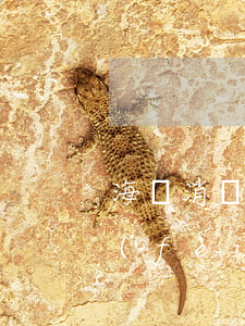 海爾消費(fèi)金融逾期判決(海爾消費(fèi)金融逾期判決書)