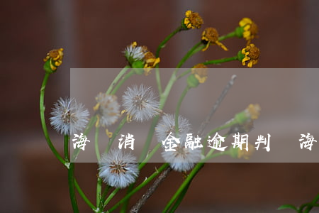 海爾消費金融逾期判決(海爾消費金融逾期判決書)