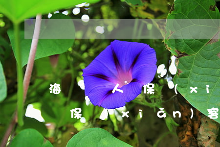 海爾紐約人壽保險(xiǎn)(海爾紐約人壽保險(xiǎn)客服)