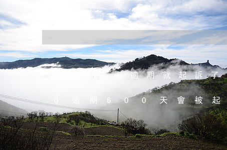 海爾金融剛逾期就起訴了 海爾金融欠7000逾期600天會被起訴嗎