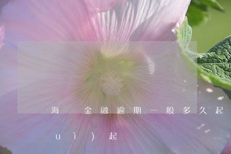 海爾金融逾期一般多久起訴(海爾金融會(huì)起訴嗎)