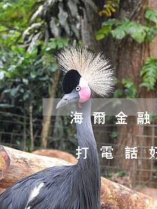 海爾金融逾期催還款(海爾消費金融催收公司打電話好兇怎么辦呀)