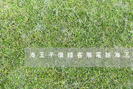 海王子借錢客服電話（海王子貸款逾期）