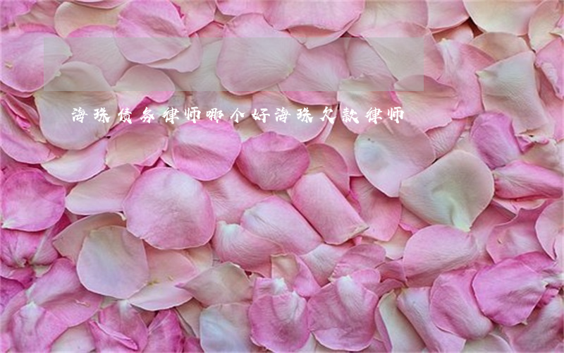 海珠债务律师哪个好(海珠欠款律师)
