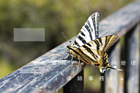 海珠債務(wù)糾紛律師推薦-海珠區(qū)律師事務(wù)所免費(fèi)咨詢(xún)
