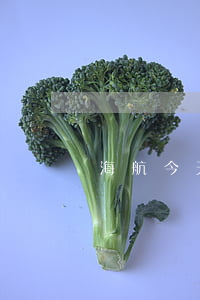 海航今天有最新消息嗎(海航新聞最新)