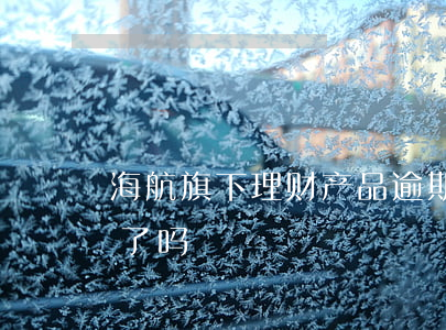 海航旗下理财产品逾期起诉-海航理财兑付了吗