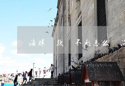 海螺貸款還不起怎么辦(海螺貸款是真的嗎)