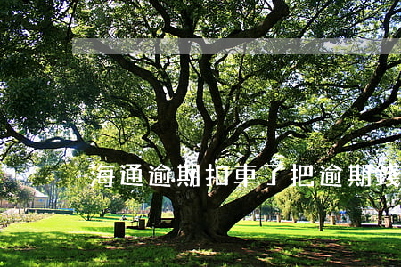 海通逾期扣車了把逾期錢補交完