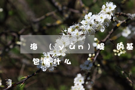 海運(yùn)提單的基本內(nèi)容包括什么
