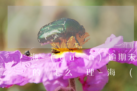 海關(guān)逾期未未申報(bào)的貨怎么處理-海關(guān)申報(bào)多久逾期退回