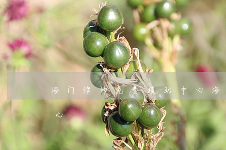 海门律师免费援助中心(海门律师免费援助中心)