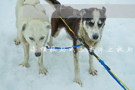 海难救助成立要件之救助必须取得效果