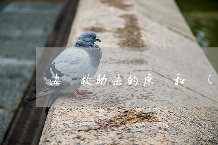 海難救助法的原則和調(diào)整范圍
